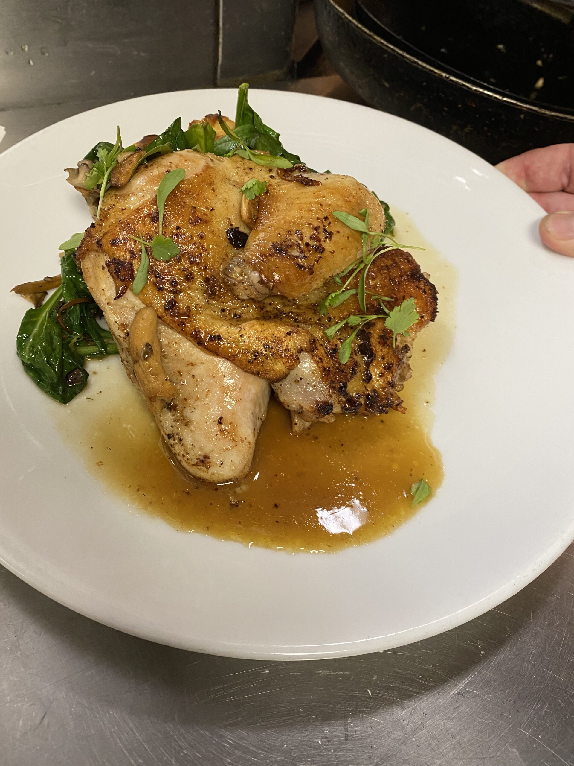 Saturday January 28th Nightly Specials - Mezza Luna